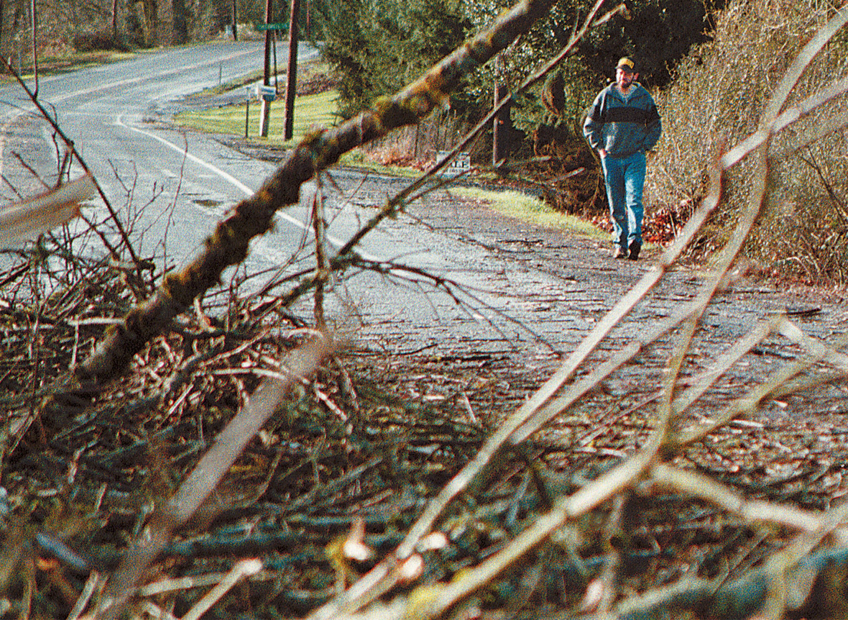 Flashback- January 2000 tree down